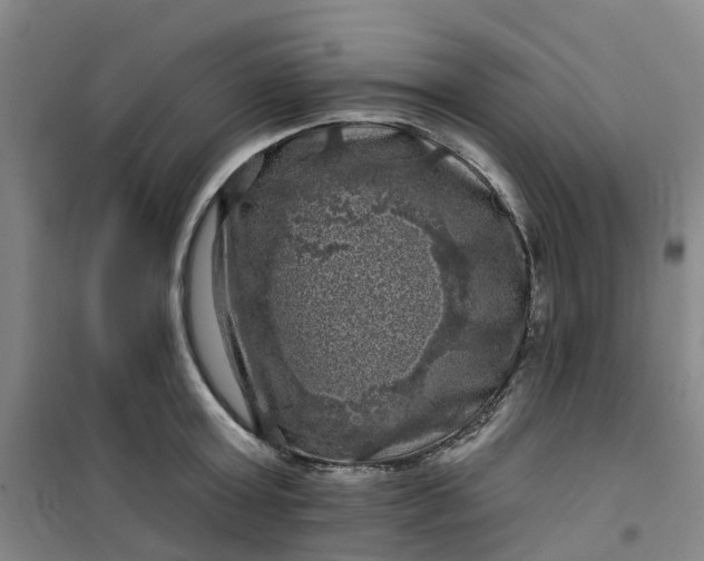 X0000101090803200807101547