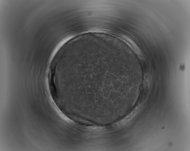 X0000101090804200807101547