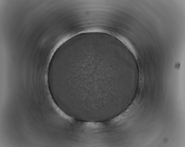 X0000101090805200807101547