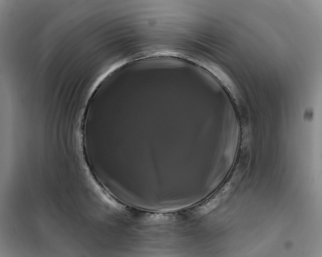 X0000101090806200807101547