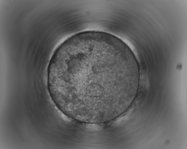 X0000101090807200807101547