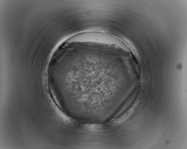 X0000101090808200807101547