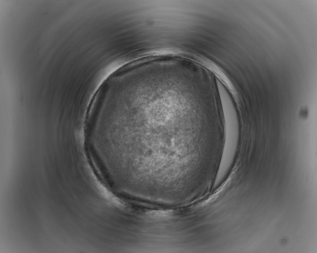 X0000101090810200807101547