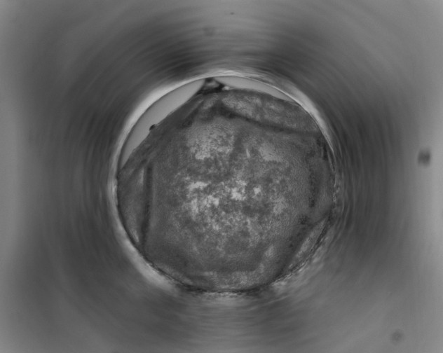 X0000101090811200807101547