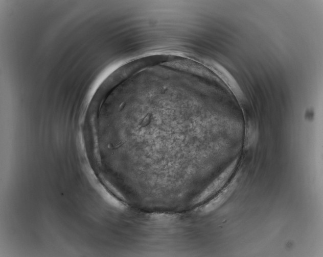 X0000101090812200807101547