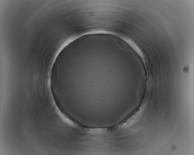 X0000101090813200807101547