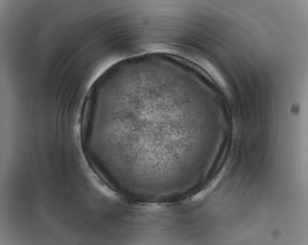 X0000101090814200807101547