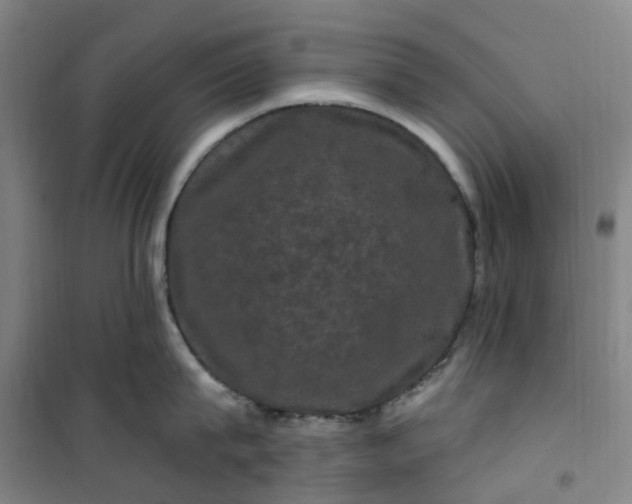 X0000101090815200807101547