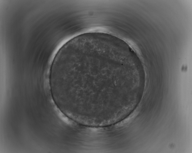 X0000101090816200807101547