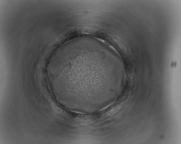 X0000101090817200807101546