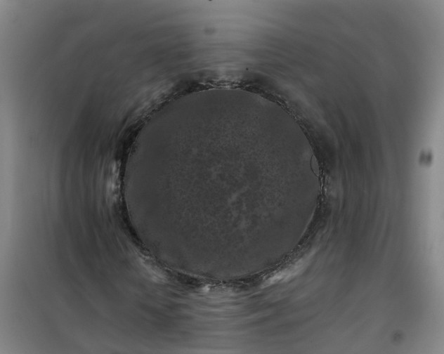 X0000101090818200807101546