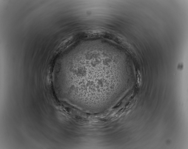 X0000101090819200807101546