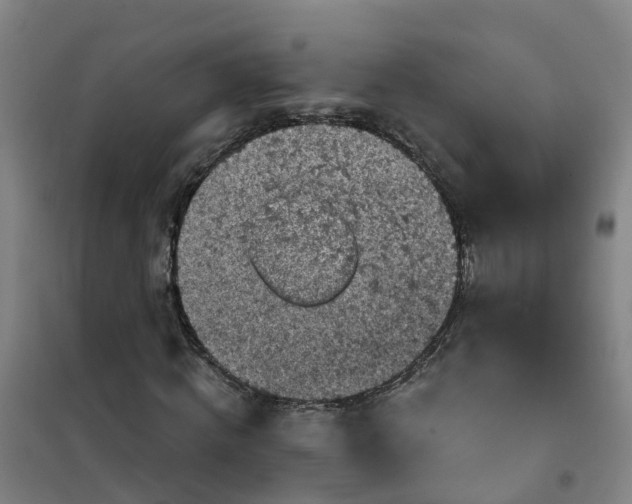 X0000101090820200807101546