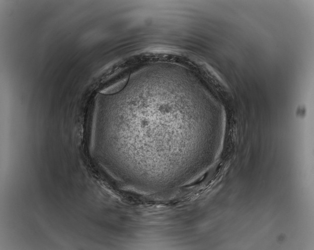 X0000101090821200807101546