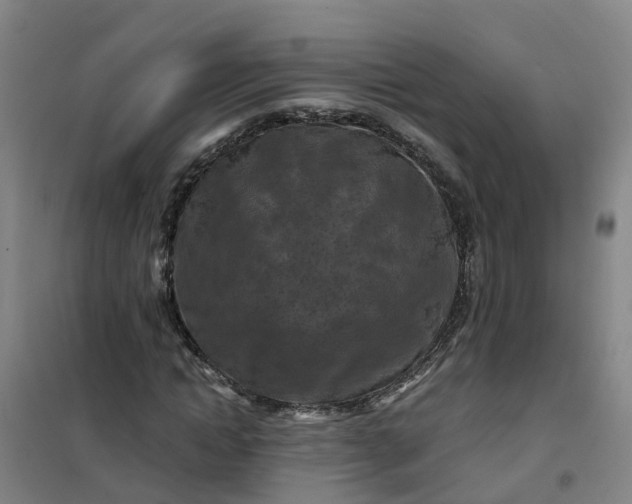 X0000101090822200807101546