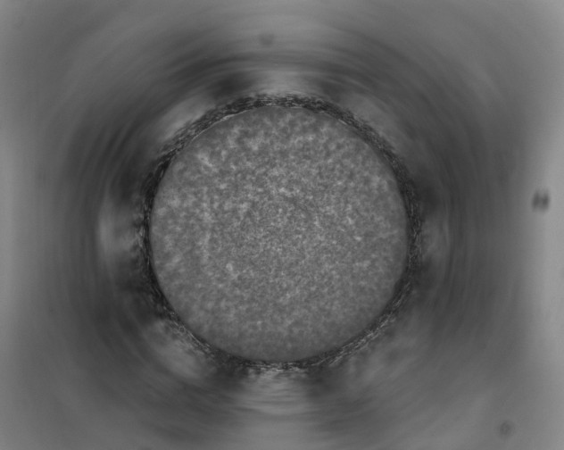 X0000101090824200807101546