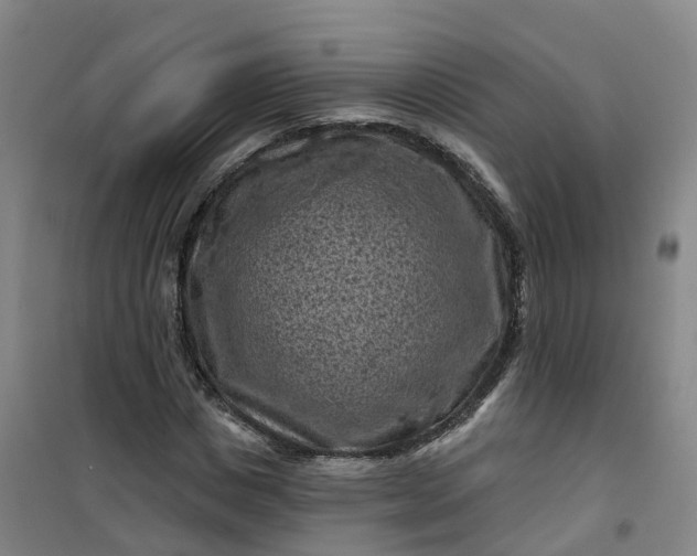 X0000101090825200807101546