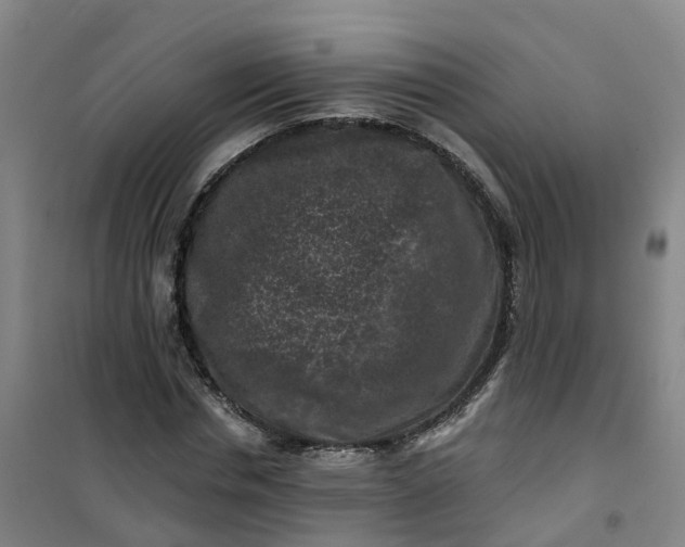 X0000101090826200807101546