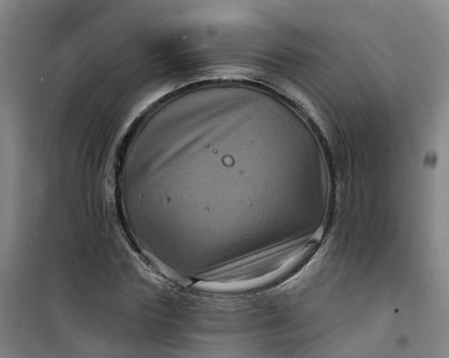 X0000101090827200807101546