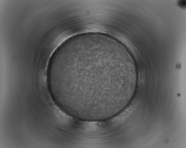 X0000101090828200807101546