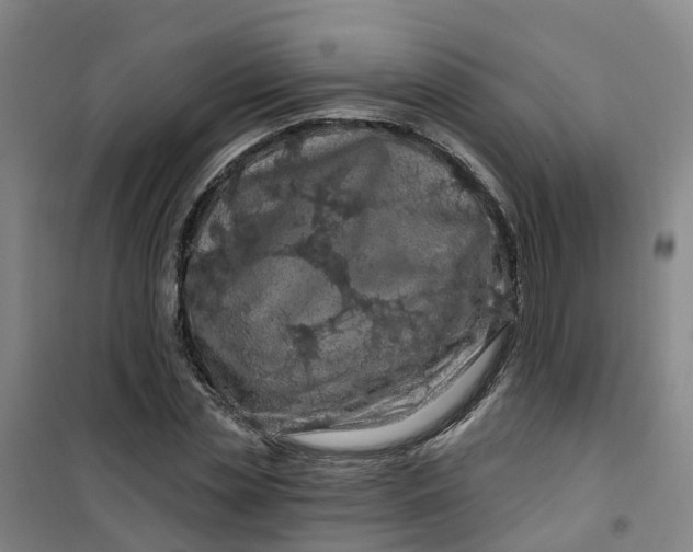 X0000101090829200807101546