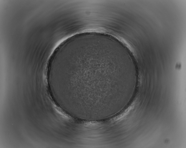 X0000101090830200807101546