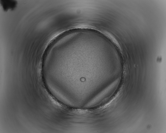 X0000101090831200807101546