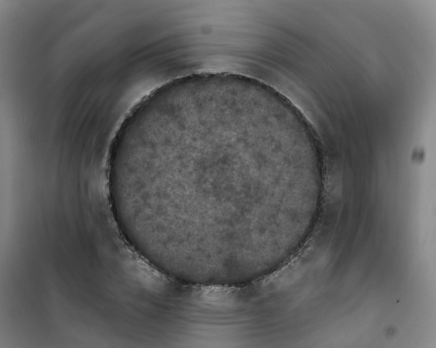 X0000101090832200807101546