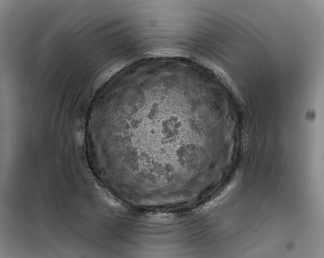 X0000101090833200807101546