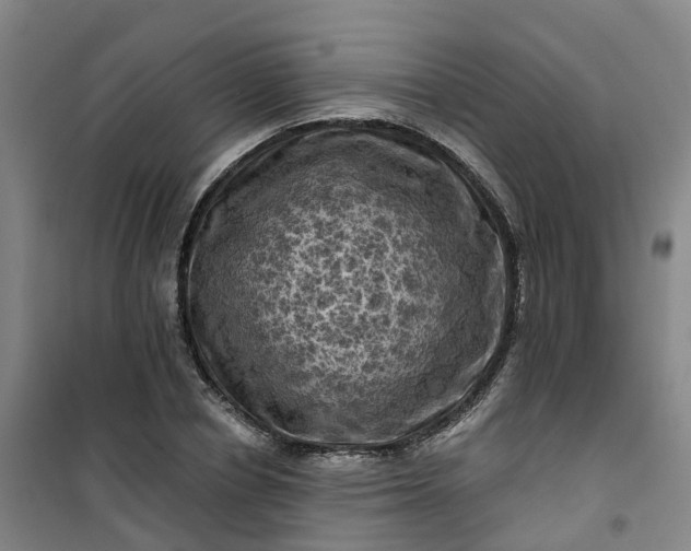 X0000101090834200807101546