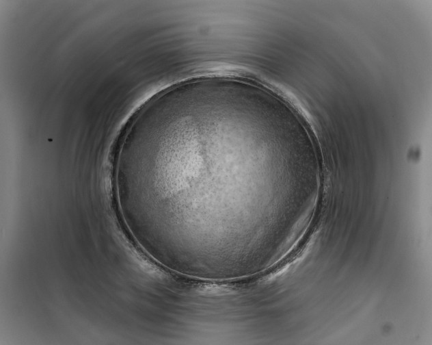 X0000101090835200807101546