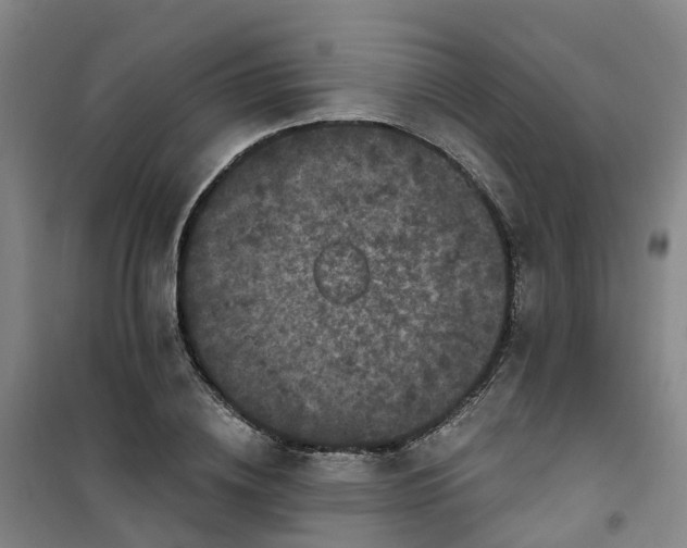 X0000101090836200807101546