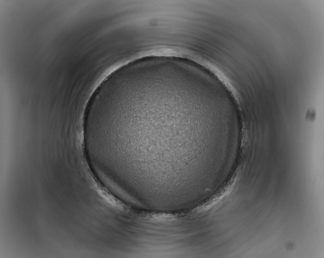 X0000101090837200807101546