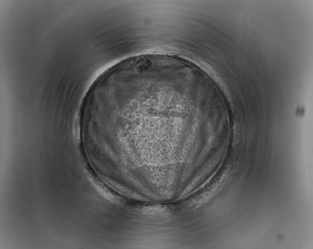 X0000101090838200807101546