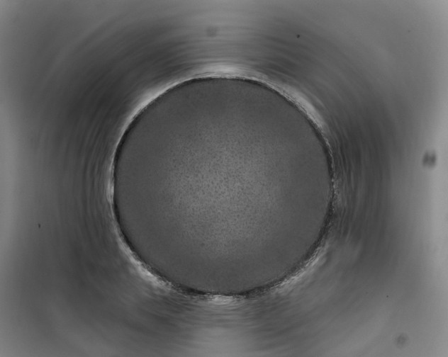 X0000101090839200807101546