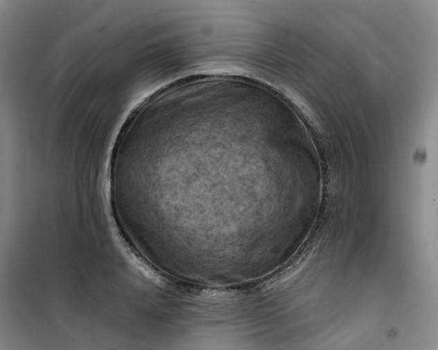 X0000101090840200807101546