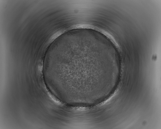 X0000101090841200807101546