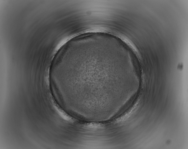 X0000101090842200807101547