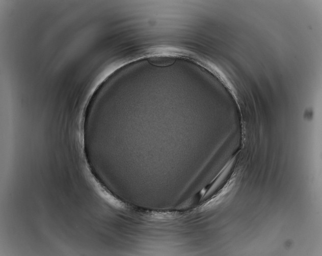 X0000101090843200807101547