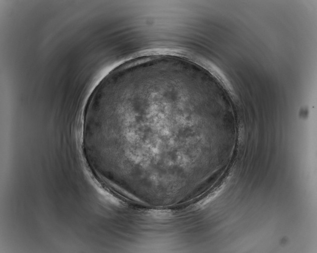 X0000101090844200807101547