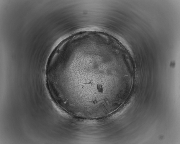 X0000101090845200807101547