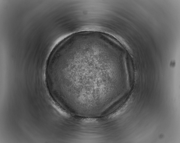 X0000101090846200807101547