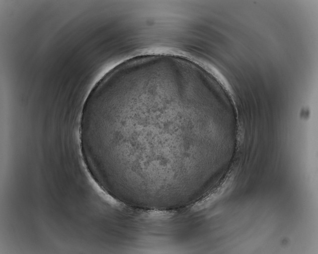 X0000101090847200807101547