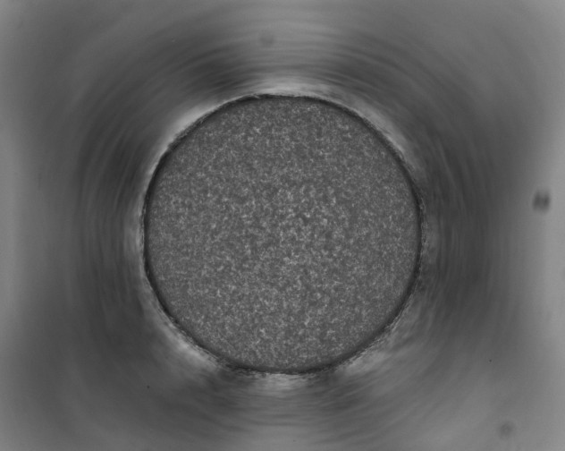 X0000101090848200807101547