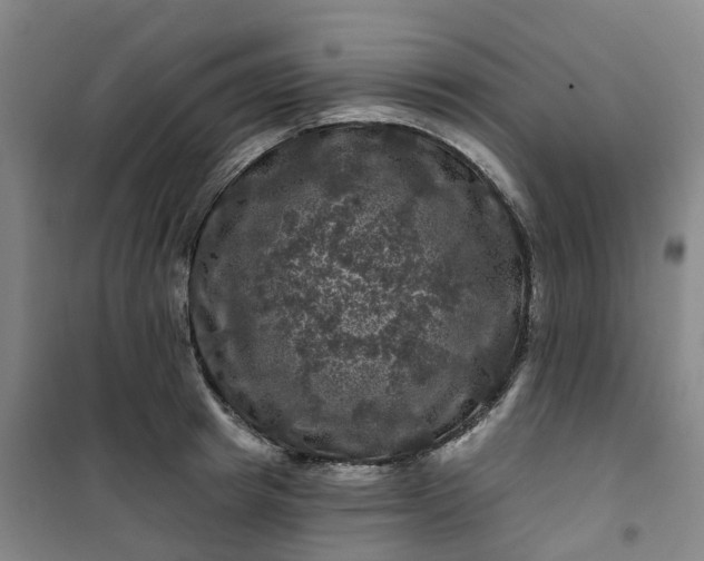 X0000101090849200807101547