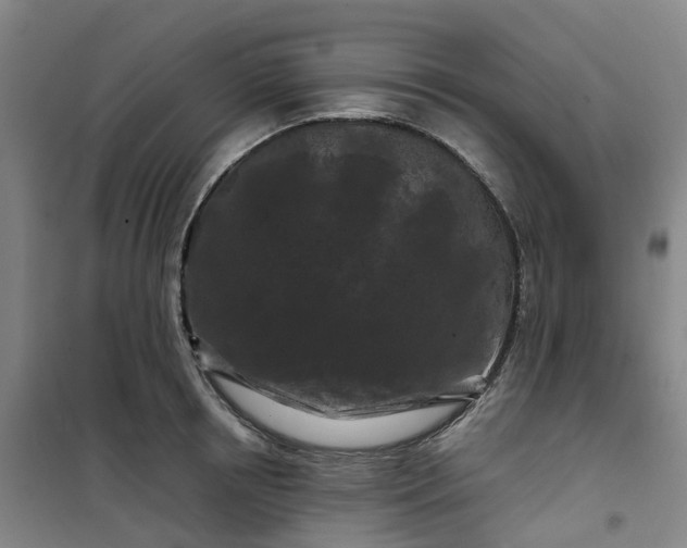 X0000101090850200807101547