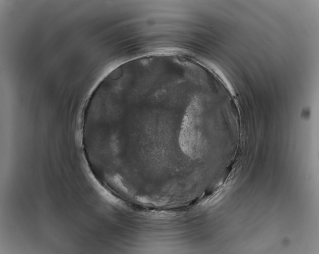 X0000101090851200807101547