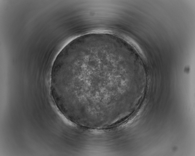 X0000101090852200807101547