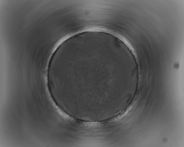 X0000101090853200807101547