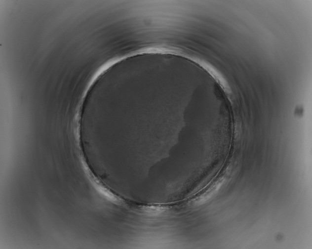 X0000101090854200807101547